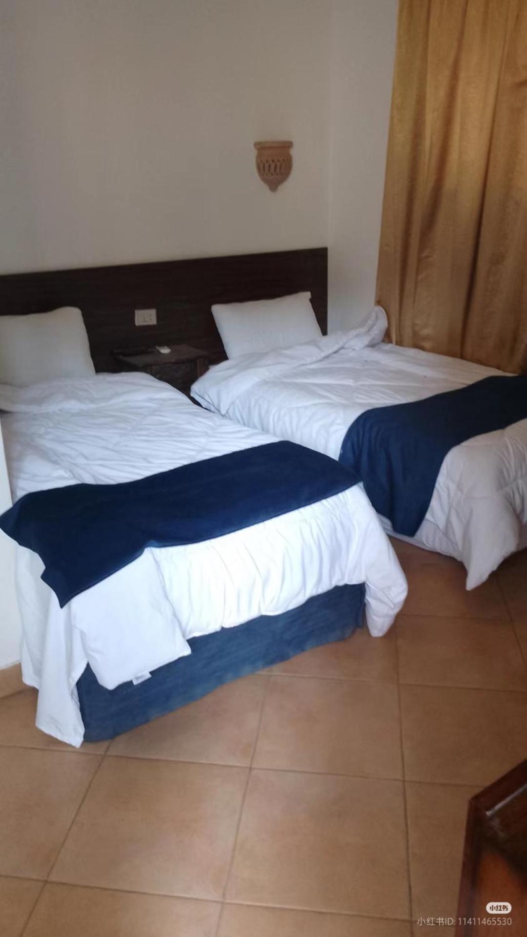 Sofia Guest House Louxor Extérieur photo