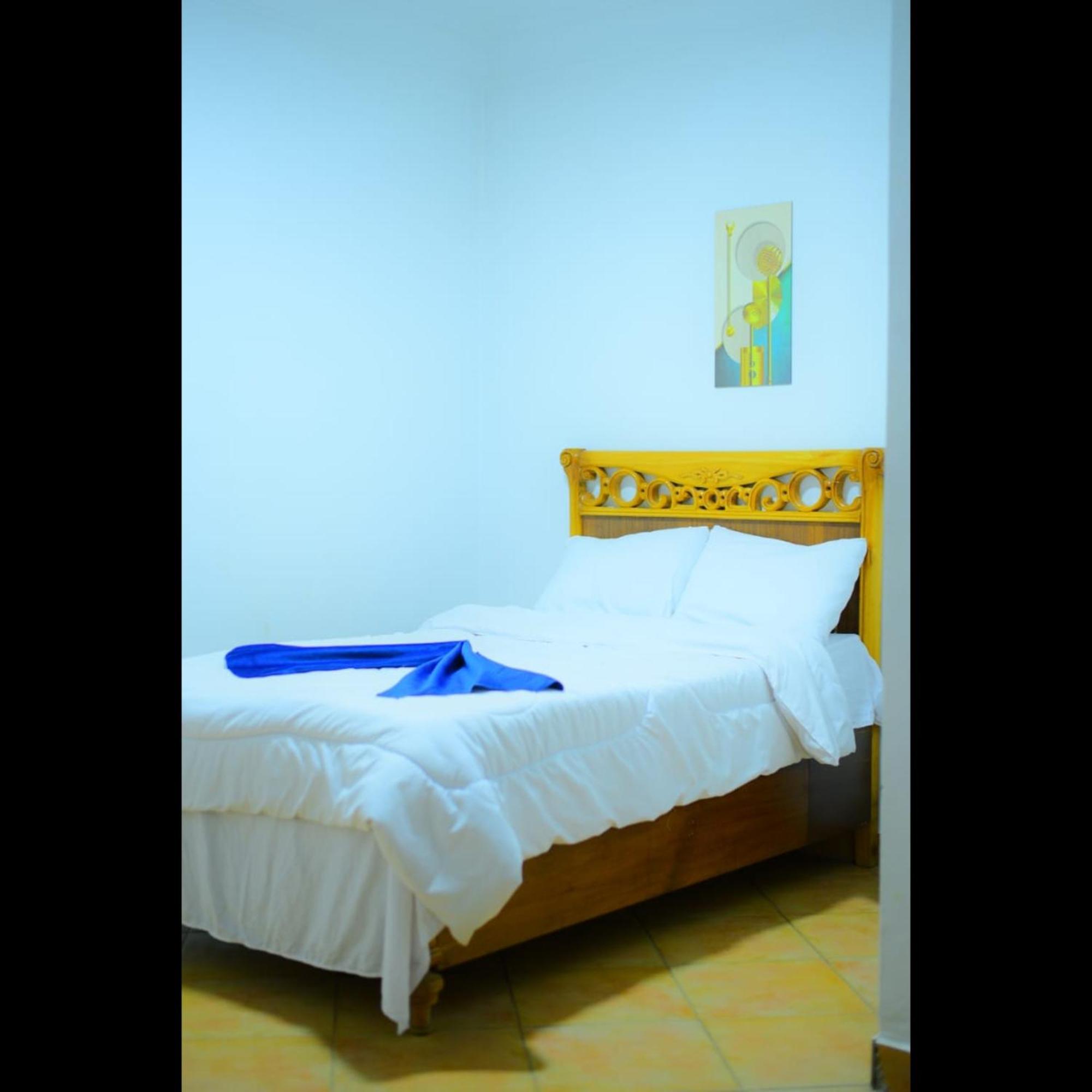 Sofia Guest House Louxor Extérieur photo